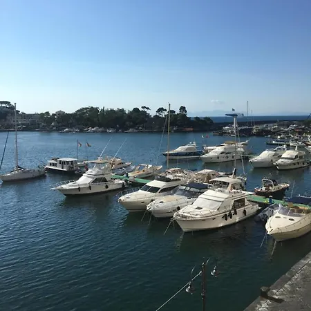 Panorama Da Cartolina *