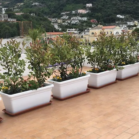 Panorama Da Cartolina Isquia