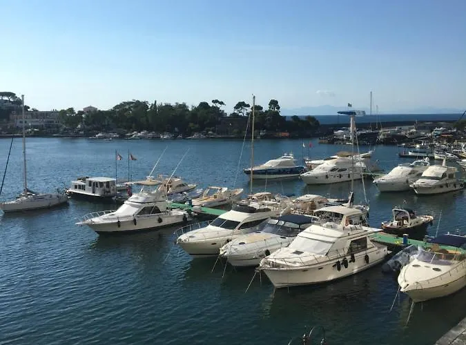 Panorama Da Cartolina *