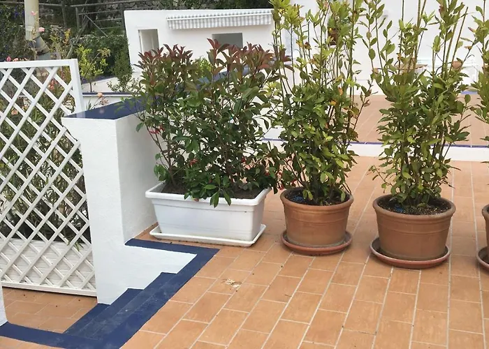 Panorama Da Cartolina Ischia